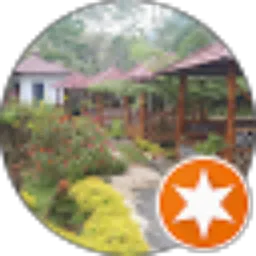 Review From Bams Kutho