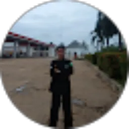 Review From Ari Wibowo