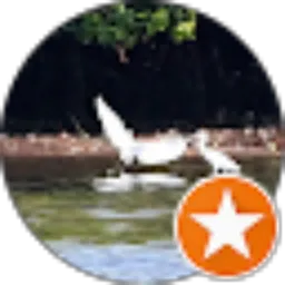 Review From Totok