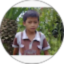 Review From suparman siburian
