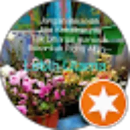 Review From Isreni Dahliawaty
