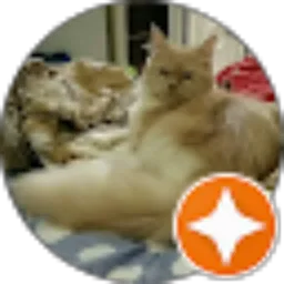 Review From freda's channel
