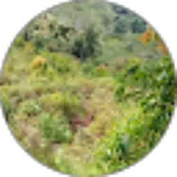 Review From Kelompok Tani HIJAU LESTARI