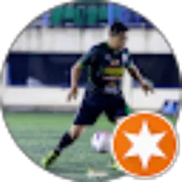 Review From Warno