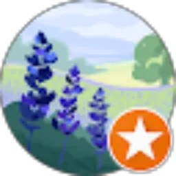 Review From Monica Vivi