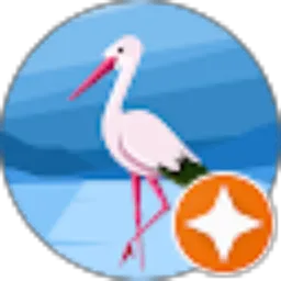 Review From Ymid Wizadri