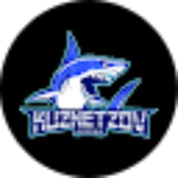 Review From Kuznetzov Gaming
