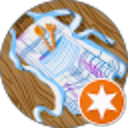 Review From Snack kite Flash