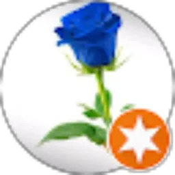 Review From adi wi