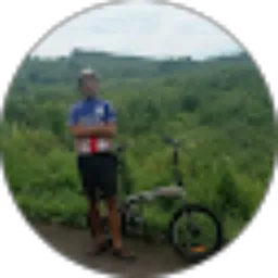 Review From Arie Wibowo