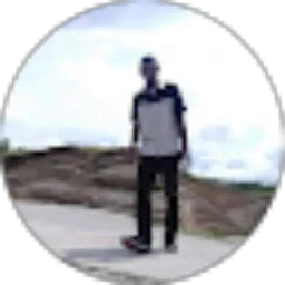 Review From Aliandro Albertus_90