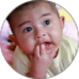 Review From Agus Purnomo