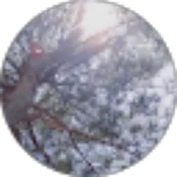 Review From R2R R