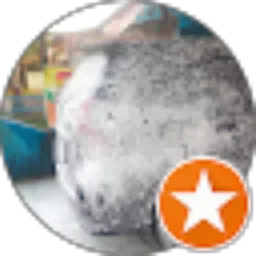 Review From Tamz ByGhozT_09