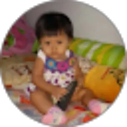 Review From didik hariyanto