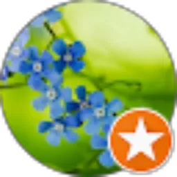 Review From Andie Ninja