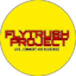Review From Flytrush Project