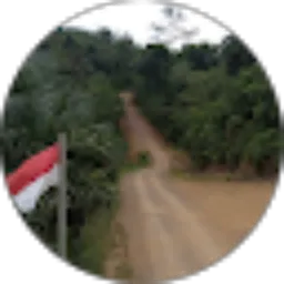 Review From Ronal Inkiriwang