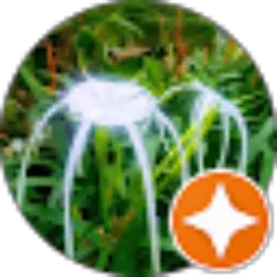 Review From Shadikiin Matt