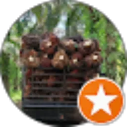Review From Jamadi Jamadi