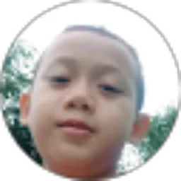 Review From Aldi Febriyanto