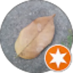 Review From Nana Nana