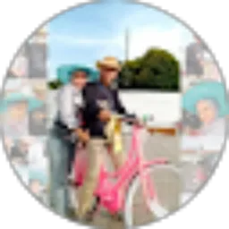 Review From Bimo 2018