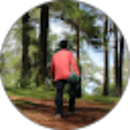 Review From erwin 87