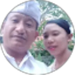 Review From Wayan Mariasa