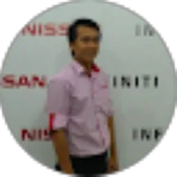 Review From David Nissan