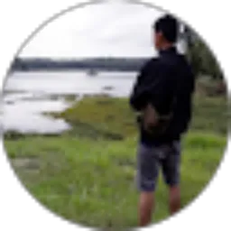 Review From Ddsupriadi channel