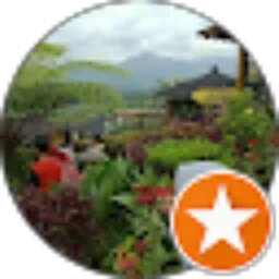 Review From Widi Salsabila
