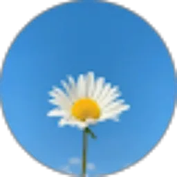 Review From Sudini 20