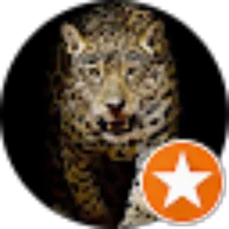Review From 54m.Yusuf 123