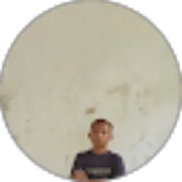 Review From Alfridus Sardin