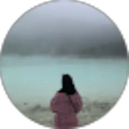 Review From Syarifah nurul Husna