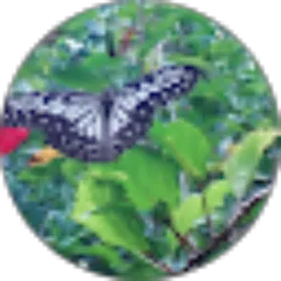 Review From Layuk Mangngeta