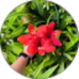 Review From Ni Luh Suyastini