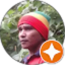 Review From Jolly A. Wongkar
