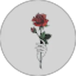 Review From Irvan
