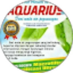 Review From Lendri Munaf Riagung