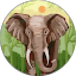 Review From Lahuri