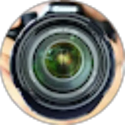Review From Teddy Rahardjo