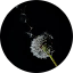 Review From Dark Rainy