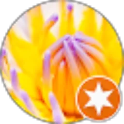 Review From mandala