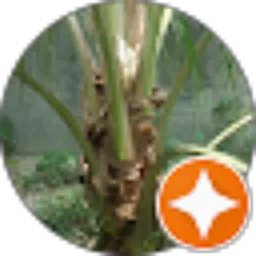 Review From jey nino