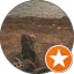 Review From handoko