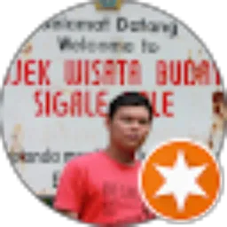 Review From Ade Setiawan