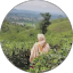 Review From Fitrians