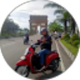 Review From Firman